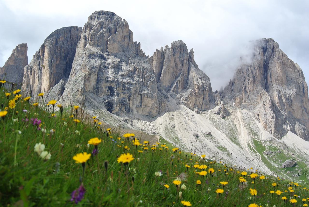 Sporthotel Enrosadira Campitello di Fassa Luaran gambar